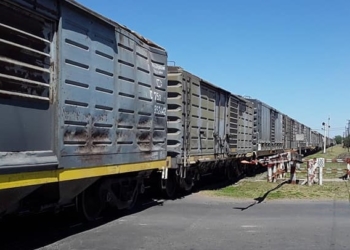 Una joven de 15 años fue atropellada por un tren