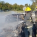 Un auto en el que viajaba una familia ardió en llamas sobre Ruta 34