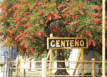 Centeno sumó seis casos nuevos en las últimas 24 horas