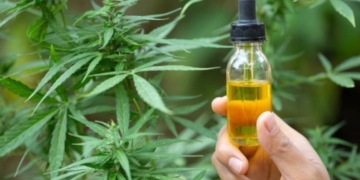 Legalizaron el autocultivo de cannabis para uso medicinal y el expendio de aceites en farmacias