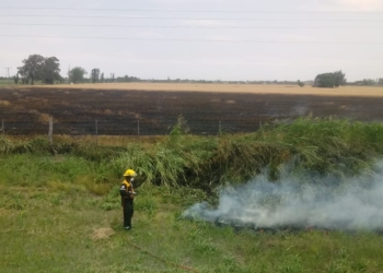 Se incendió un campo en el ingreso a San Genaro