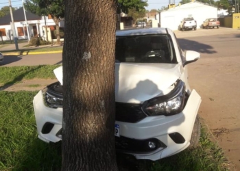 Fuerte impacto de un auto contra un árbol en San Genaro