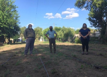 Lúpulos en Casalegno: el novedoso emprendimiento regional para la fabricación de cerveza