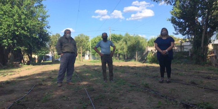 Lúpulos en Casalegno: el novedoso emprendimiento regional para la fabricación de cerveza