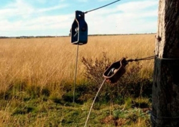 Robo en un campo de Totoras: se llevaron armas antiguas y elementos de valor