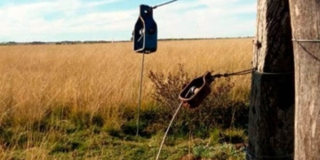 Robo en un campo de Totoras: se llevaron armas antiguas y elementos de valor