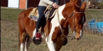 Robaron un caballo en la puerta de una vivienda en Timbúes