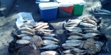 Vinieron de Córdoba a pescar a Monje y los sancionaron con especies prohibidas