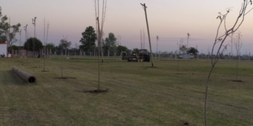 Ya son 35 las plantas rotas en el Club Maciel: «Es inexplicable»