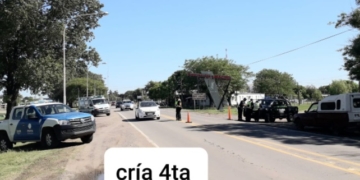 Una vecina de Maciel fue aprehendida mientras circulaba con una licencia trucha