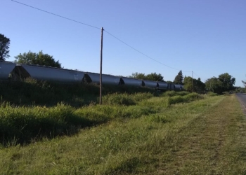 Falleció el hombre que fue arrollado por un tren en Coronda