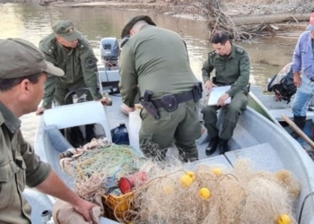 Pescadores ilegales en Gaboto: casi 200 piezas decomisadas por Los Pumas