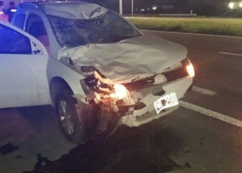 Una joven de Andino se estrelló contra un caballo en autopista