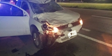 Una joven de Andino se estrelló contra un caballo en autopista