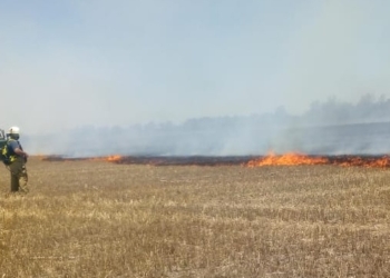 Ardieron 10 hectáreas de campo: bomberos de Oliveros controlaron el fuego