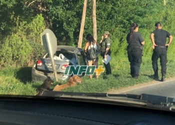 Una pareja de Oliveros herida tras despistar y chocar en Ruta 11