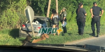 Una pareja de Oliveros herida tras despistar y chocar en Ruta 11