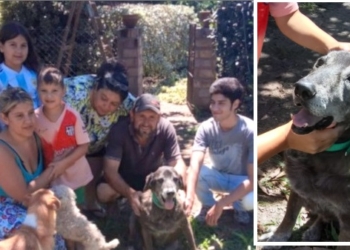 «Bongo» fue adoptado tras vivir 14 años en un refugio: «Tenemos mucho amor para darle»