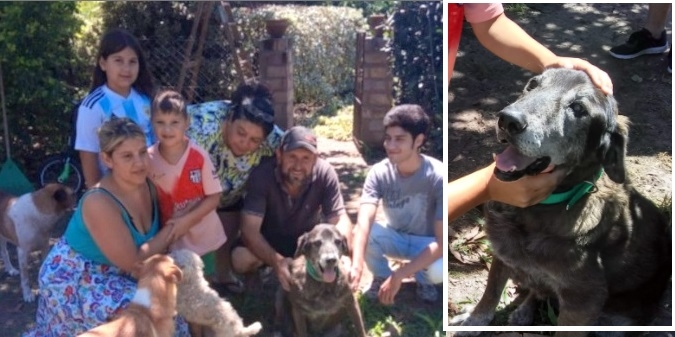«Bongo» fue adoptado tras vivir 14 años en un refugio: «Tenemos mucho amor para darle»