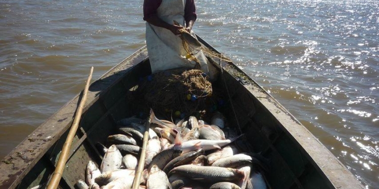 Prohibieron la pesca deportiva y comercial en todo el cauce del río Paraná