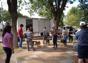 Gaboto tendrá una nueva jornada de castración en febrero