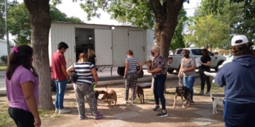 Gaboto tendrá una nueva jornada de castración en febrero