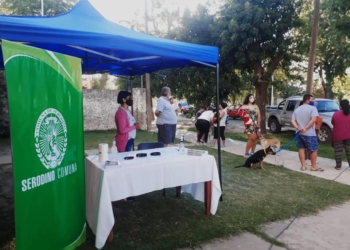 Castraron a 90 mascotas en Serodino y llegaron a mil esterilizaciones