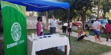 Castraron a 90 mascotas en Serodino y llegaron a mil esterilizaciones