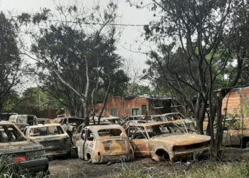 Ardieron 15 autos: bomberos de toda la región trabajaron en el lugar y uno resultó herido