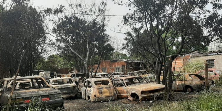 Ardieron 15 autos: bomberos de toda la región trabajaron en el lugar y uno resultó herido