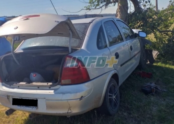 Ruta 11: una enfermera de Gaboto chocó contra un árbol en Monje