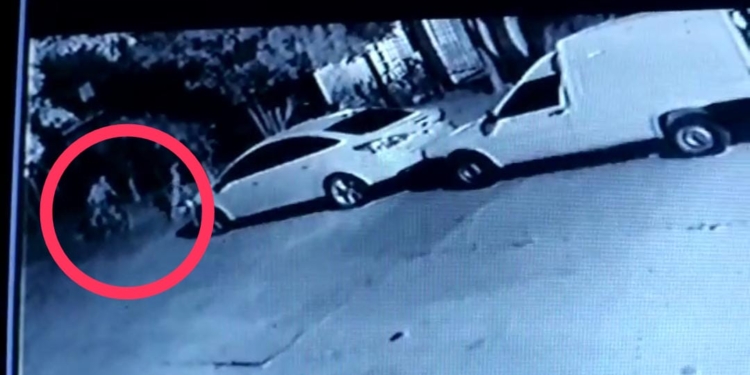 Una mujer y dos nenes robaron una bicicleta en Totoras: quedaron filmados