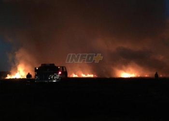 Impactante incendio en el predio de una chanchería entre Maciel y Monje