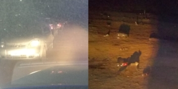 Totoras: más de 200 personas en dos fiestas clandestinas