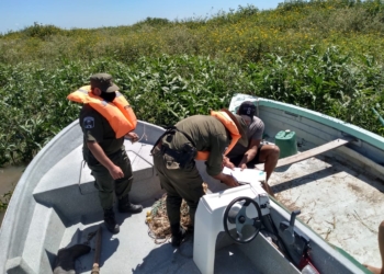 En un procedimiento Los Pumas decomisaron varias especies en la zona