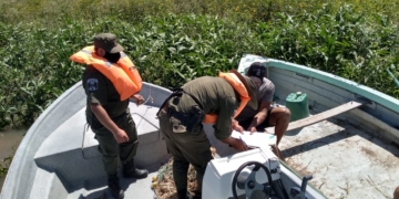 En un procedimiento Los Pumas decomisaron varias especies en la zona