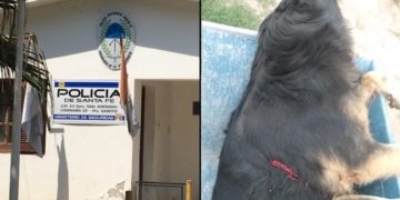 Allanamiento y secuestro de armas en Gaboto por la perrita asesinada 