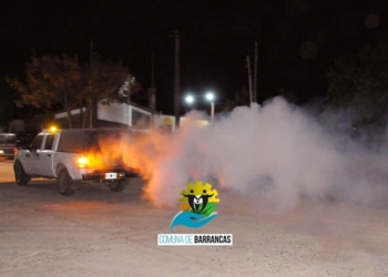 Nueva etapa de fumigación contra mosquitos en Barrancas y Puerto Aragón