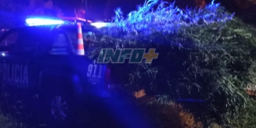 La policía secuestró 18 kilos de marihuana en Totoras: un detenido