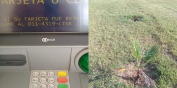 Indignación en Díaz: rompieron a golpes el cajero y robaron palmeras
