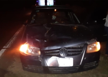 Barrancas: un auto y un camión chocaron a terneros que estaban sobre la Ruta