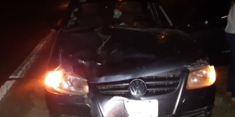 Barrancas: un auto y un camión chocaron a terneros que estaban sobre la Ruta