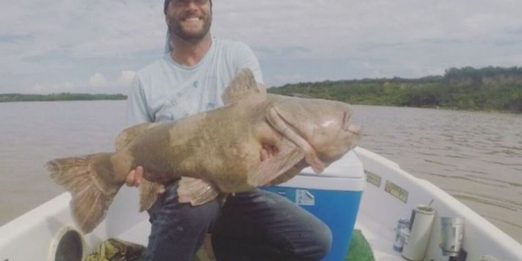 Impresionante: pescaron en el Paraná un enorme y extraño pez amazónico
