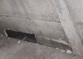 Por segunda vez, rompieron el tapial de una vecina en Díaz: «Tengo miedo»