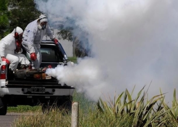 En Gessler también fumigarán ante la gran cantidad de mosquitos