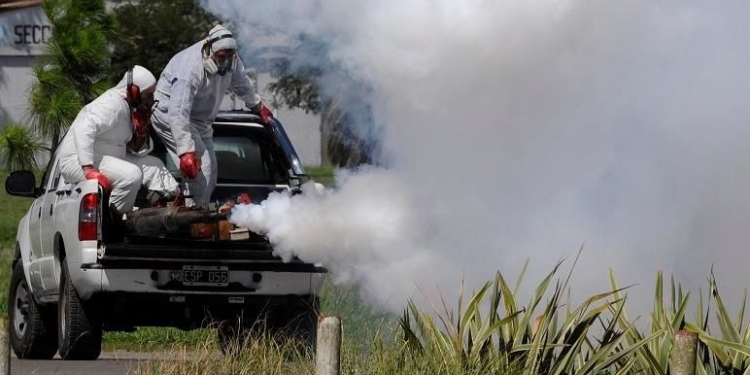 En Gessler también fumigarán ante la gran cantidad de mosquitos