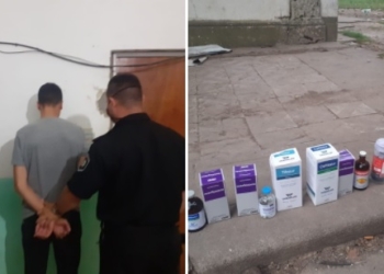 Robó frascos de antibióticos en un campo de Gaboto y fue detenido