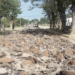 Gaboto: comenzó la repavimentación en el ingreso al pueblo