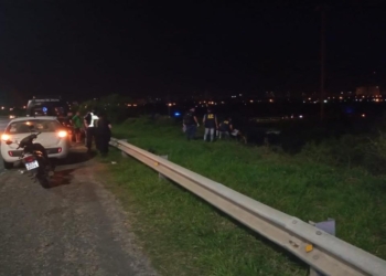 Un joven murió al despistar con su utilitario en autopista