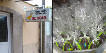 Un comercio de Monje regaló huevos de Pascua para los niños: «Lo hicimos de corazón»